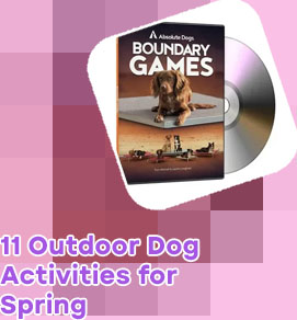 Boundary games for dogs