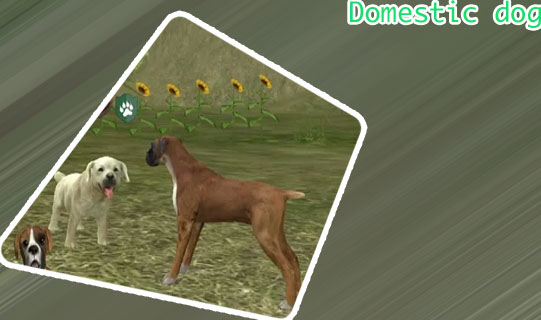 Dog wali game
