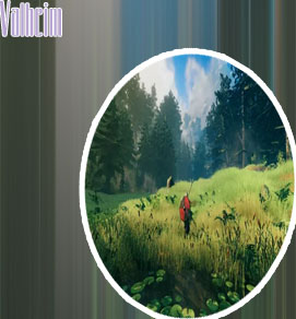 Game valheim