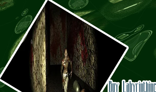 Labyrinth game horror